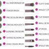 BH Cosmetics Lavish Elegance 15 Piece Brush Set with a bag