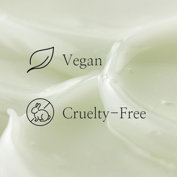 Beauty of Joseon Light On Serum Vitamin C – Dark Spot Corrector with Centella, Hydrating Korean Skincare – 30ml