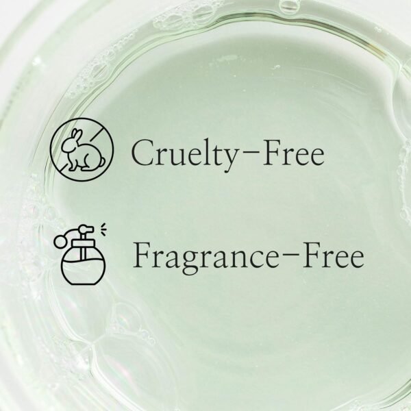 Beauty of Joseon Green Plum AHA BHA Toner – Daily Mild Exfoliating Korean Essence for All Skin Types